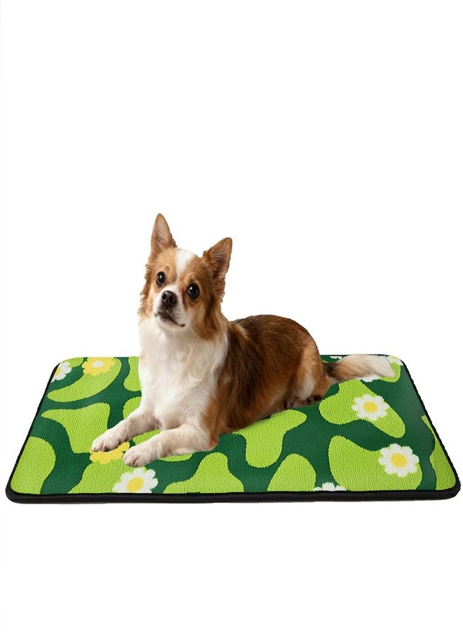 Qeils Reusable Puppy Pads for Small Dogs, Washable Pee Pads with Non-Slip , Absorbent Leakproof Mat for Crates, Playpens, Pet Beds & Whelping, Indoor Potty Training Grass Green, 16"x30", 2 Pack - Image 1